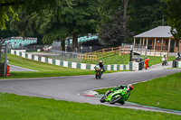 Advanced Group Green Bikes